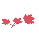 Mamann, Sandaluk & Kingwell Llp logo