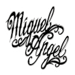 MIGUEL ANGEL GALVAN ZENDEJAS logo