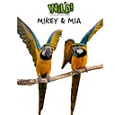 Mikey & Mia logo