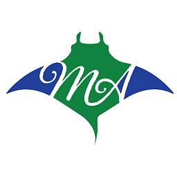 Millennium Academy logo