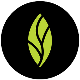 MINT DENTISTRY PLLC logo