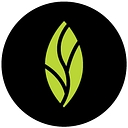 Mint Dentistry logo