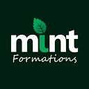 Mint Formations Ltd logo