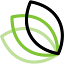 Mintmcp logo