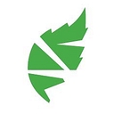 Mintsnowboarding logo