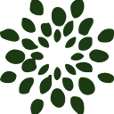 Mioeco logo