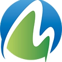 Michigan Orthopaedic Surgeons P logo
