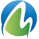 Michigan Orthopaedic Surgeons PLLC