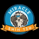 miracleshihtzu.com logo