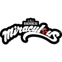 Miraculous Ladybug logo