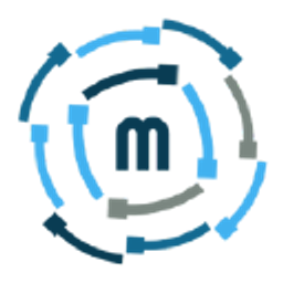Mirai Solutions Inc logo