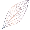 Mira Vista Court logo