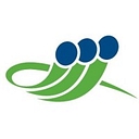 Misa Tours International logo