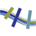 Consumer Direct Management Solutions logo