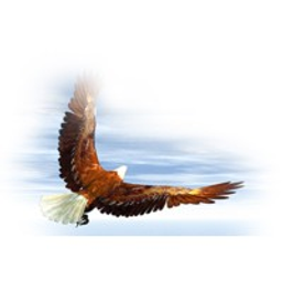 Mitchell County Board of Education logo