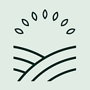 Mitti Labs logo