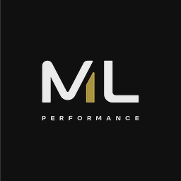 ML PERFORMANCE LIMITED logo
