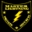 Master Lightning Security Solutions logo