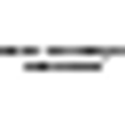 Maria Varisco Rogers Charter School logo