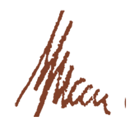 avatar logo
