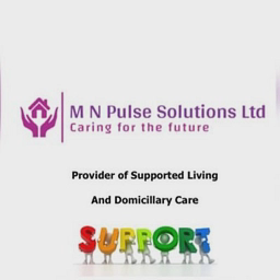 M N Pulse Solutions Ltd logo