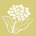 Minnesota Waldorf School logo