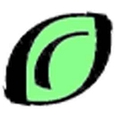 Missouri Ozarks Community Health (MOCH) logo