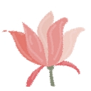 Mobile Ob Gyn Pc logo