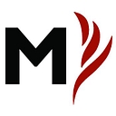 Management & Organizational Behavior Teaching Society logo