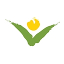Missouri Central Credit Union logo
