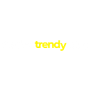 moderntrendystore