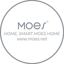 MOES logo