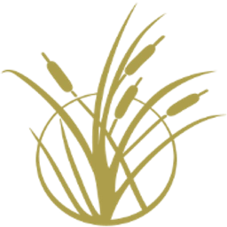 avatar logo
