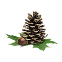 Molpus Woodlands Group logo