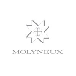 molyneuxstudio.com