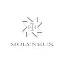 J.P. Molyneux Studio, Ltd. logo