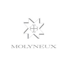 molyneuxstudio.com