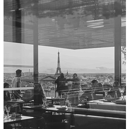 moma-group