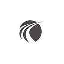 Momentum Business Law logo