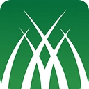 Momentum Lawn Care & Services