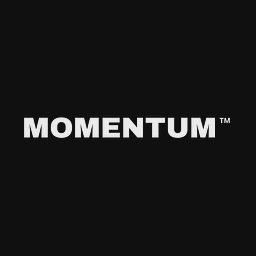 Momentumzh.ch logo