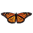 Monarch - Company