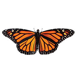Monarch logo