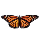 MONARCH