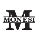 Monesi Trucking logo