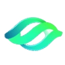 Monsoon Inc. logo