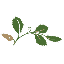 Montecito Community Foundation logo