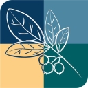 Montgomery County logo