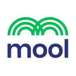 mool.ai Logo