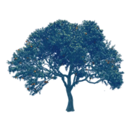 MOONLIGHT (LIMAVADY) LIMITED logo